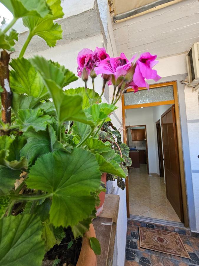 Alex Apartments ساراندا المظهر الخارجي الصورة